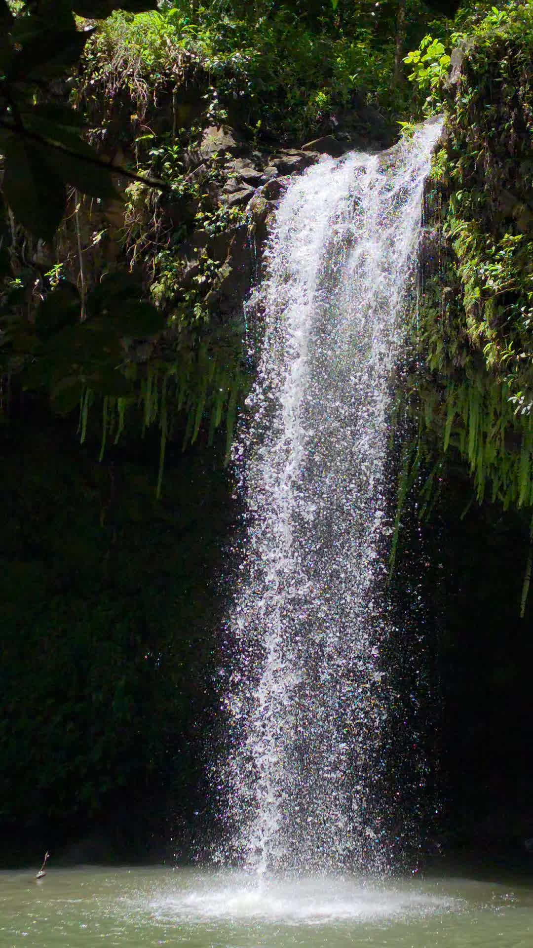 @Hike Maui