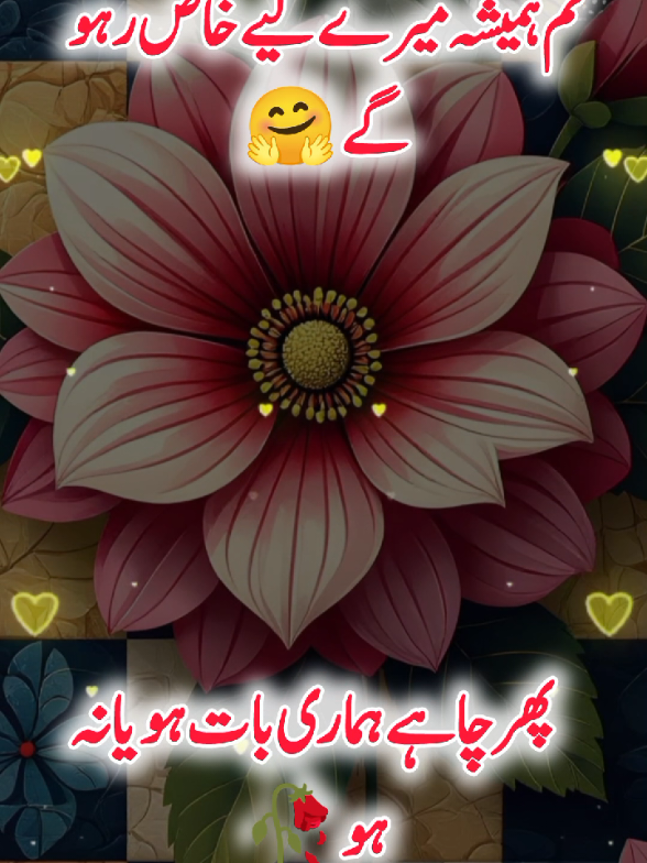 @Janyman379