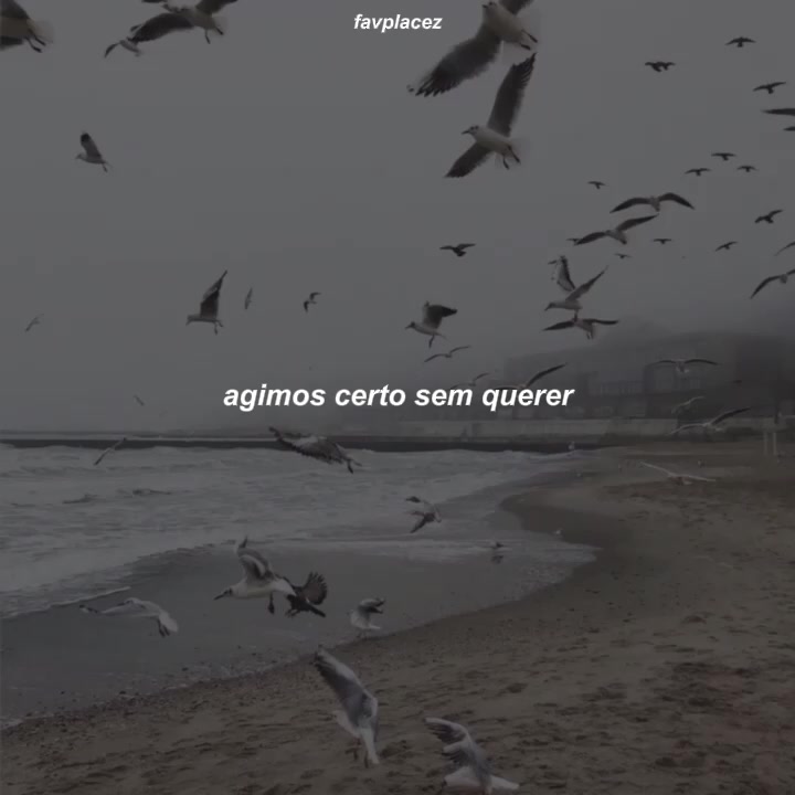 @favplacez