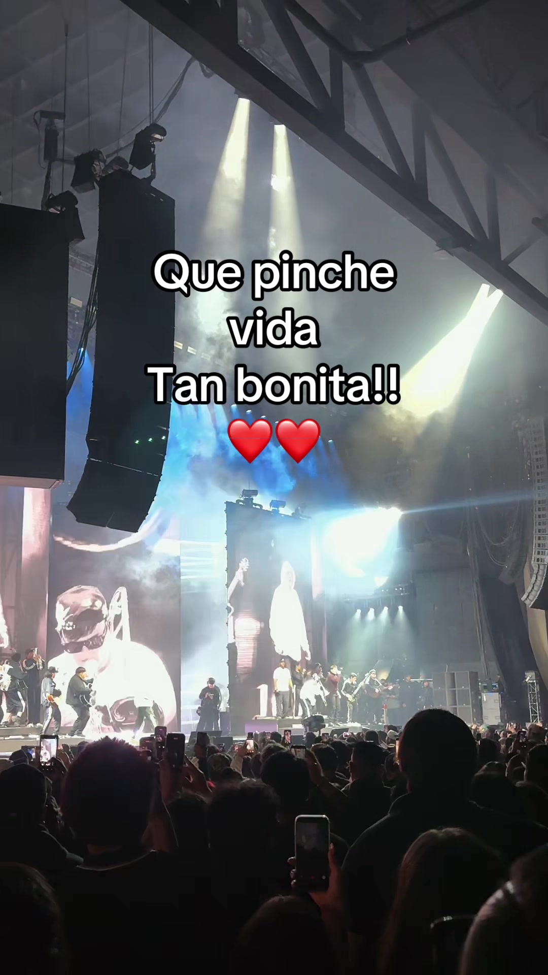 @vidarealconari