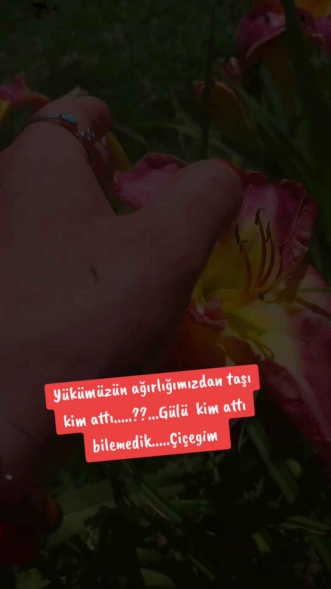 @🌹🌹ELA  G&Ouml;ZL&Uuml; 🌹🌹