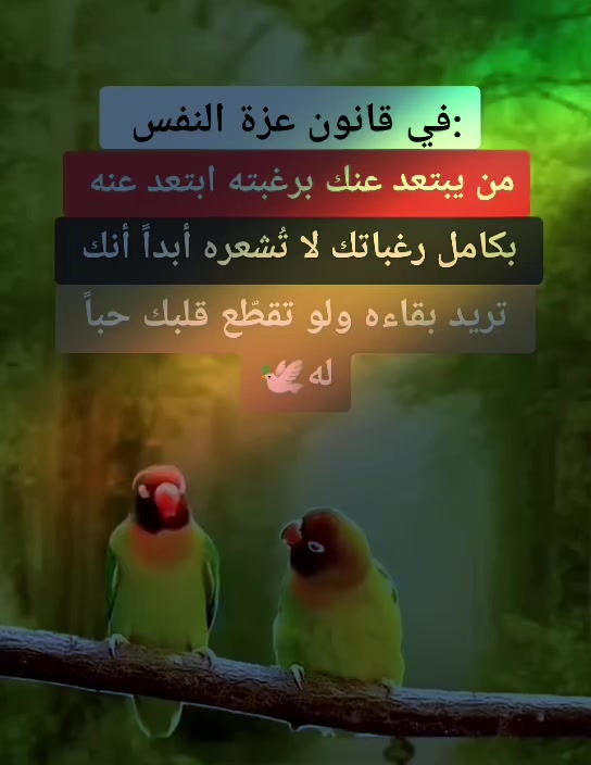 @بنت بغداد FM🦅