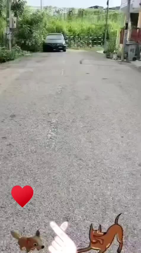 @swethakrish0306