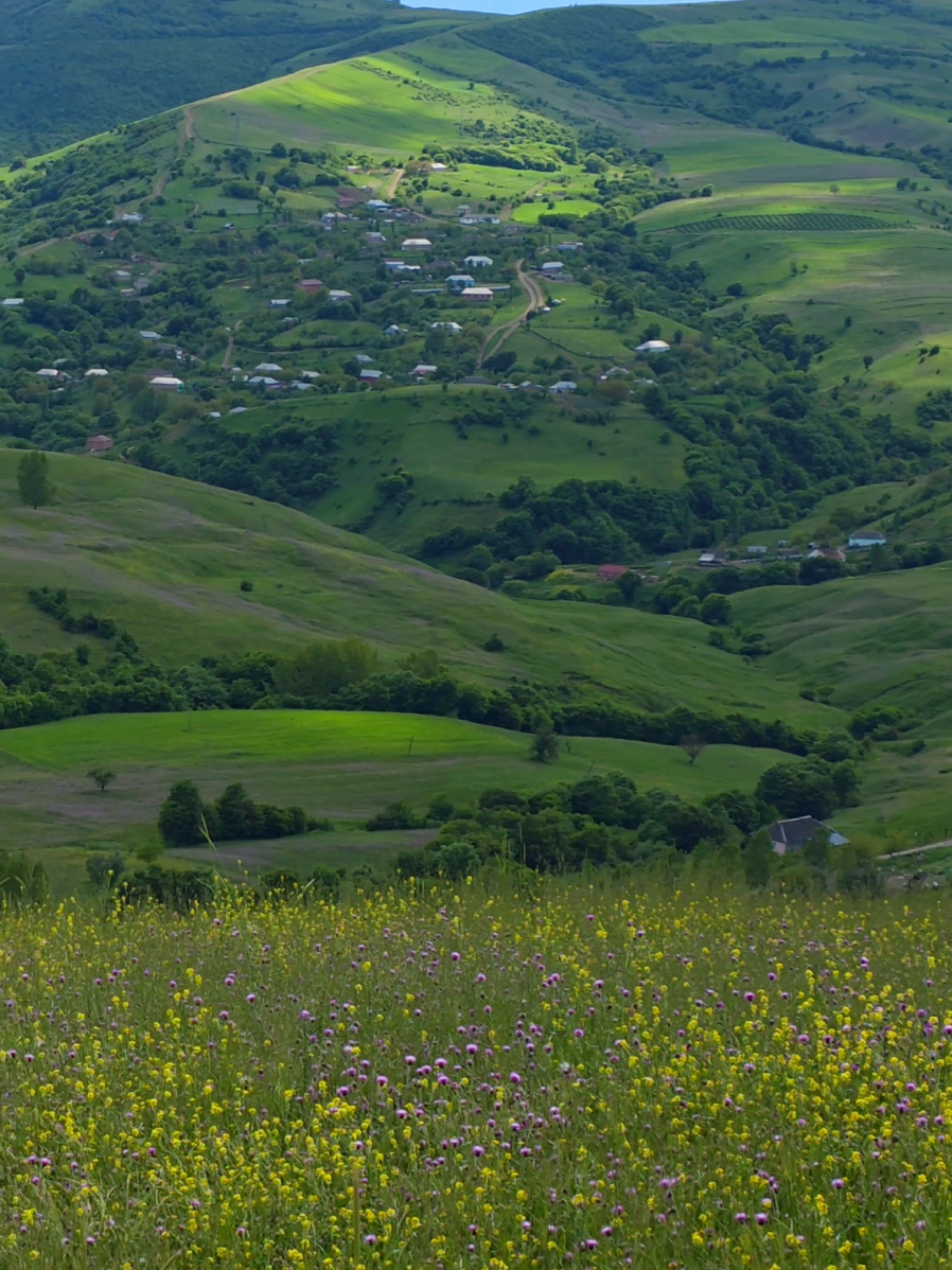 @Adiyev Məhəmməd