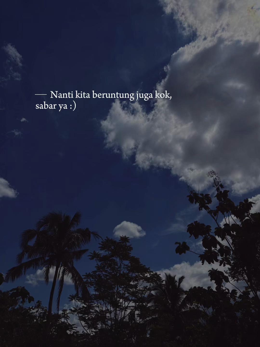 @Tiwis Tea