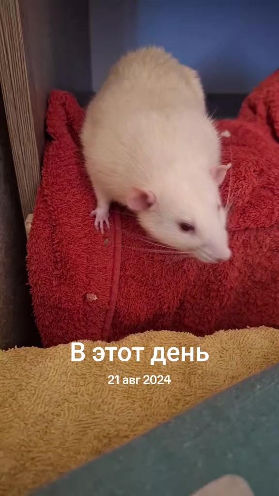 @Инесса
