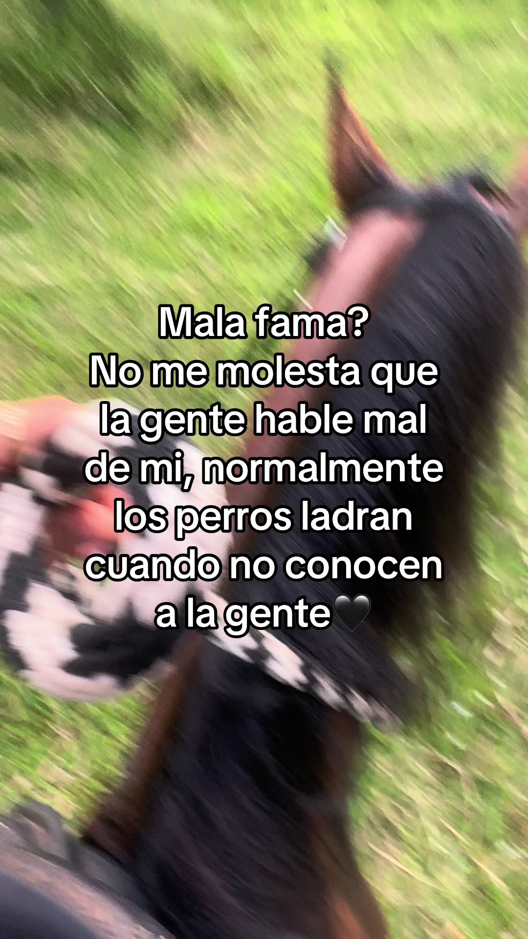 @EUGENIA BELTRÁN