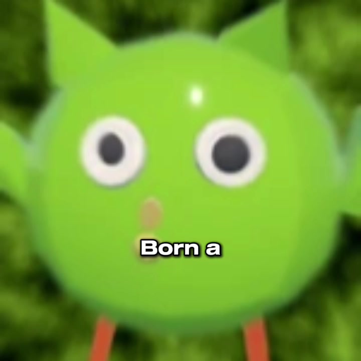 @지나가는 피클버드/passing picklebird