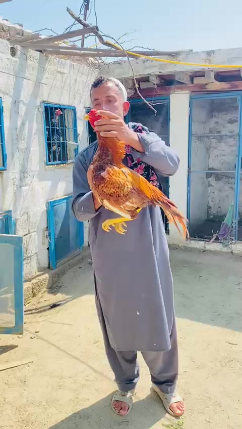 @Mr_Ak💗🤟