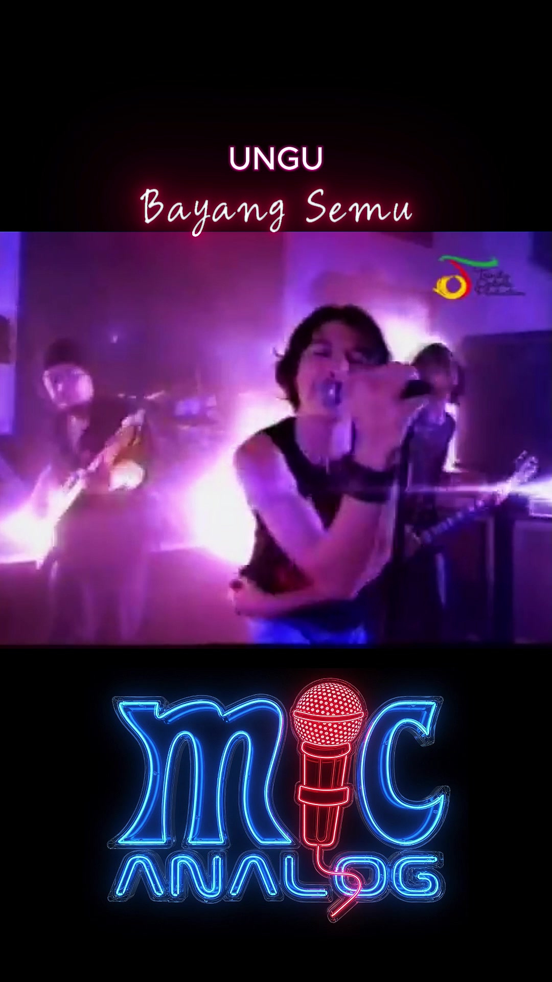 @mic analog