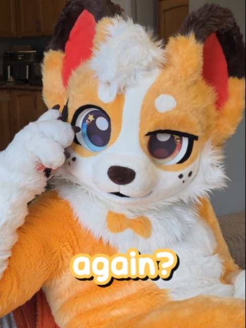 @Corgi