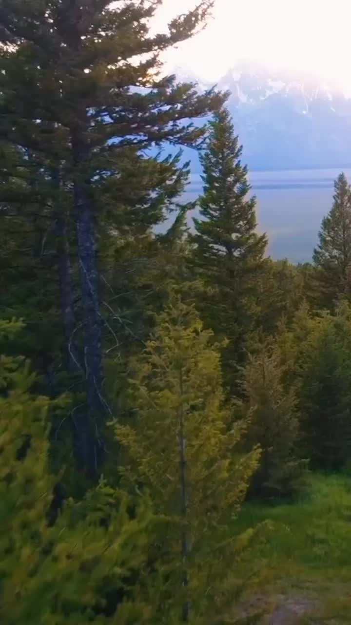 @Kurdishbari
