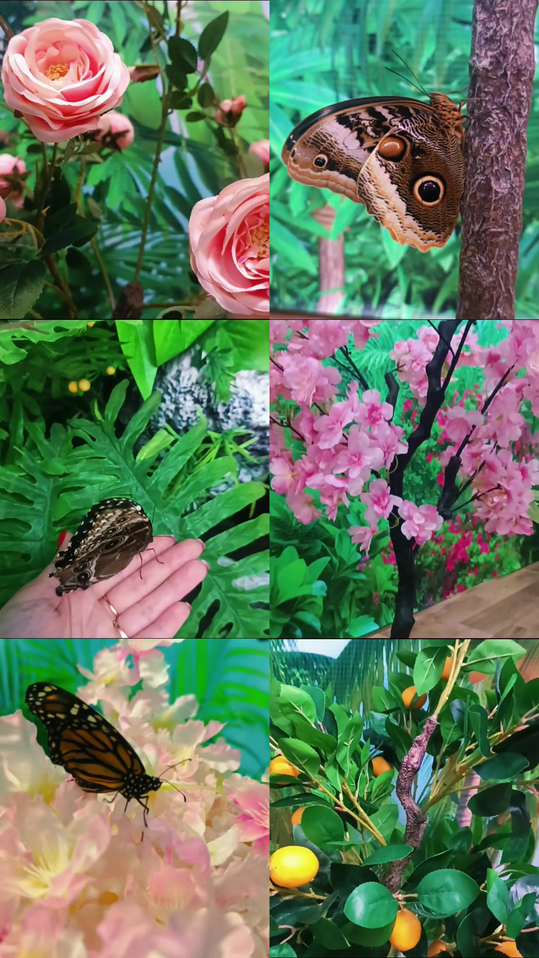 @Дар'я