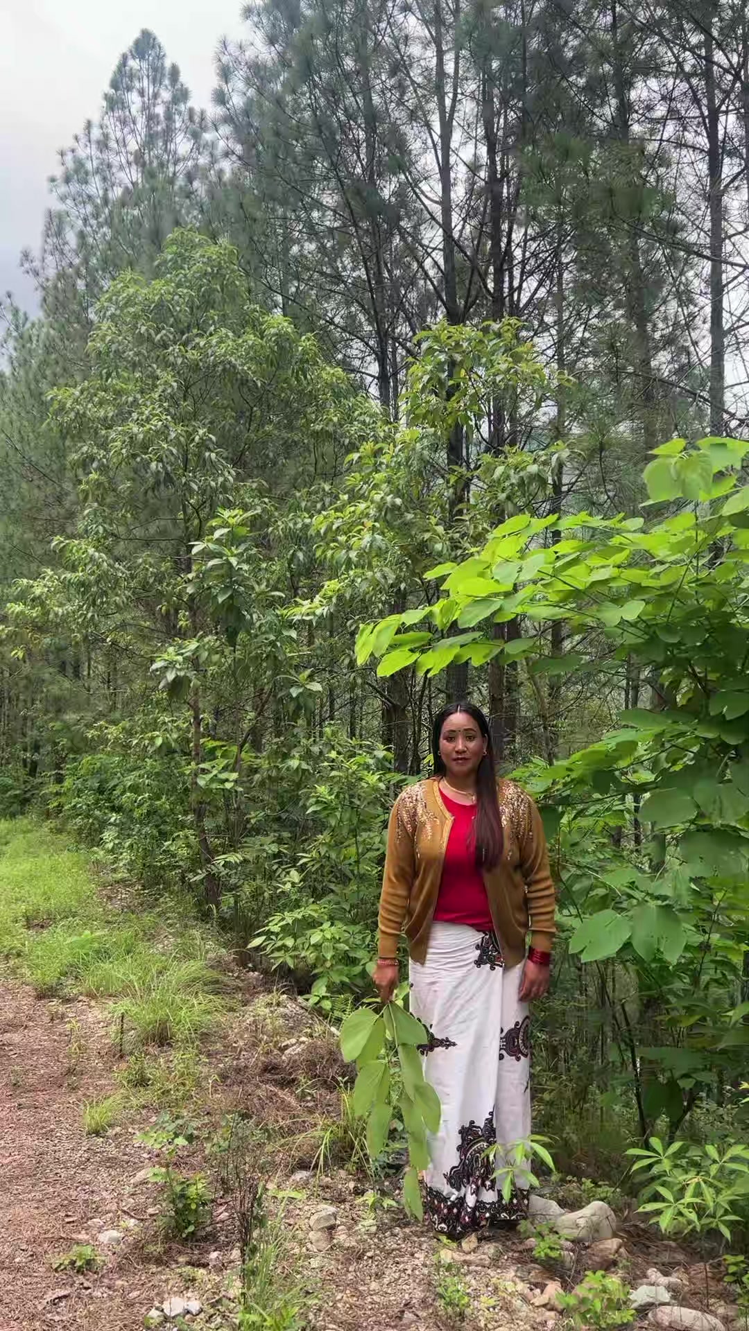 @Rashamimagar