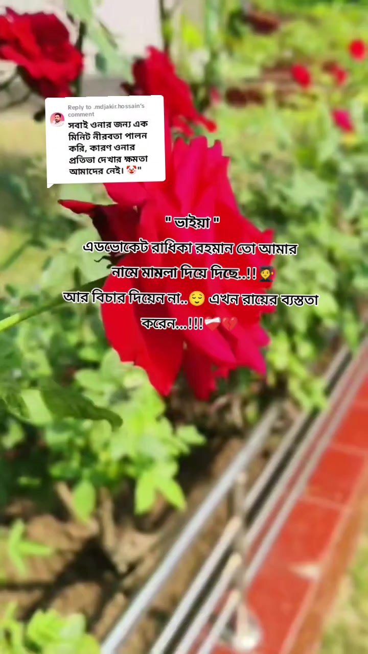 @🌺🌿🌺 Jerin 🌺🌿🌺
