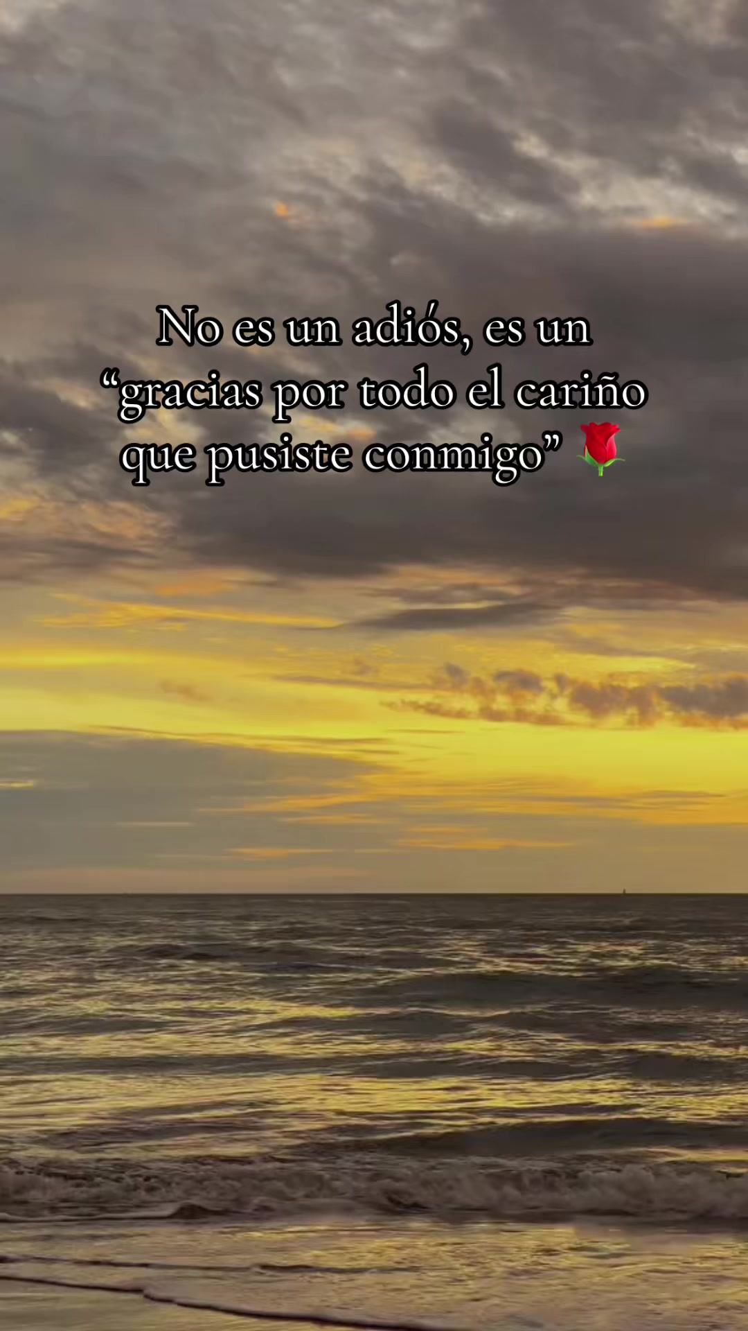 @☪️Carleins♋️
