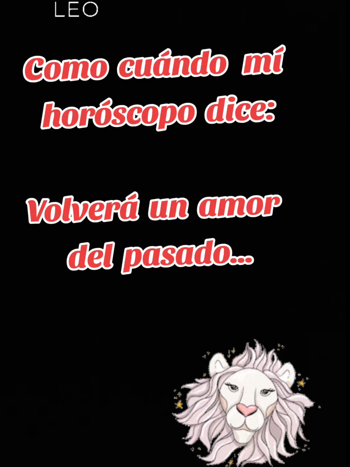 @leo_goncas