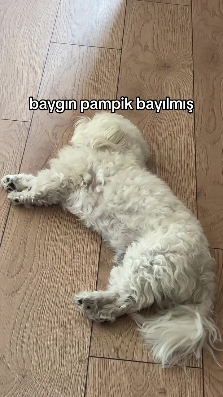 @nanasucuk