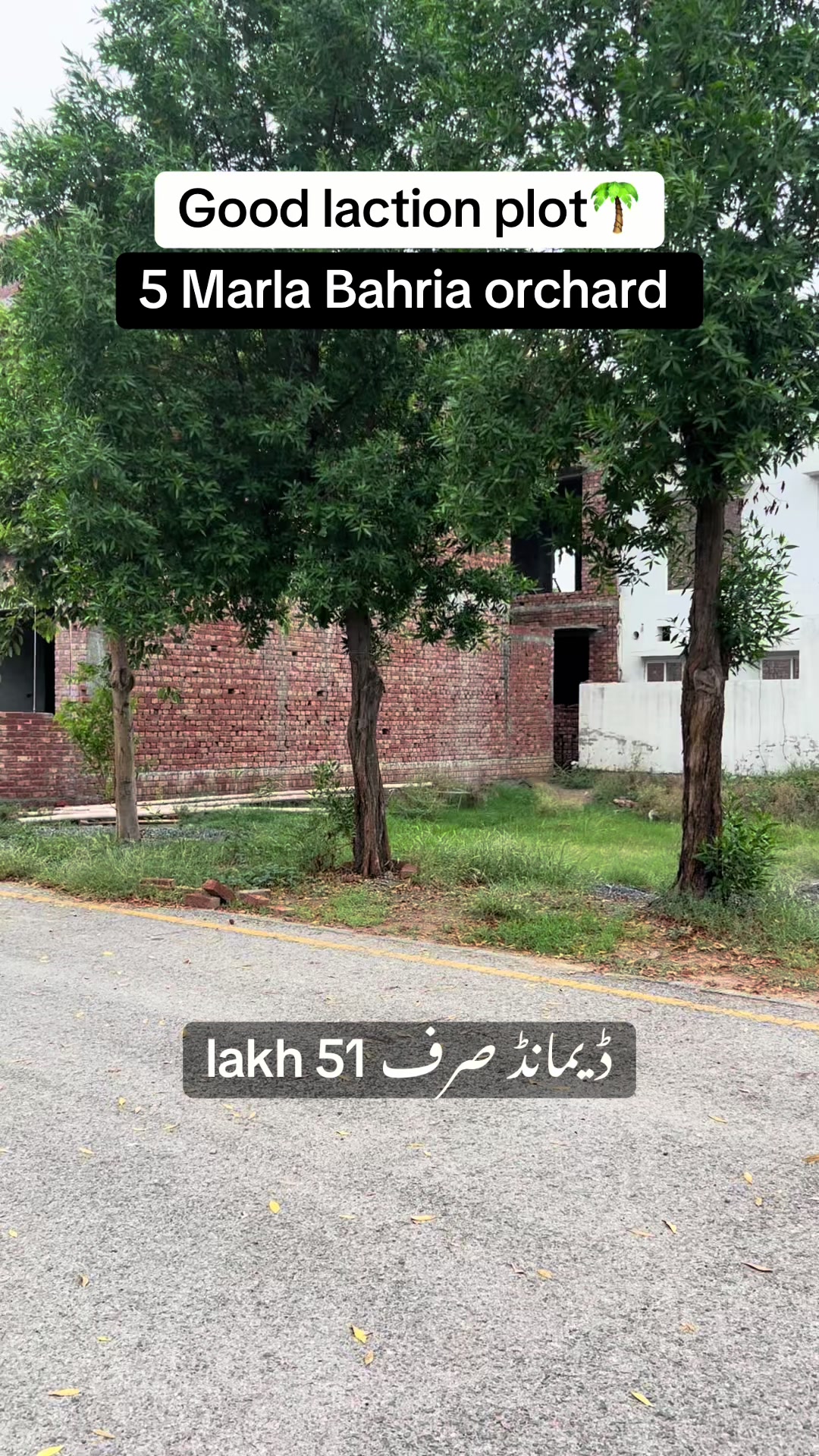 @Haider watto official💫