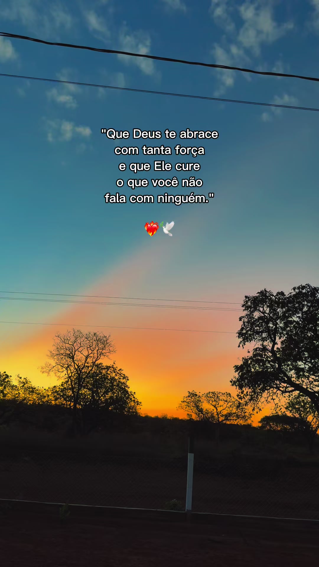 @Suzana Calixto