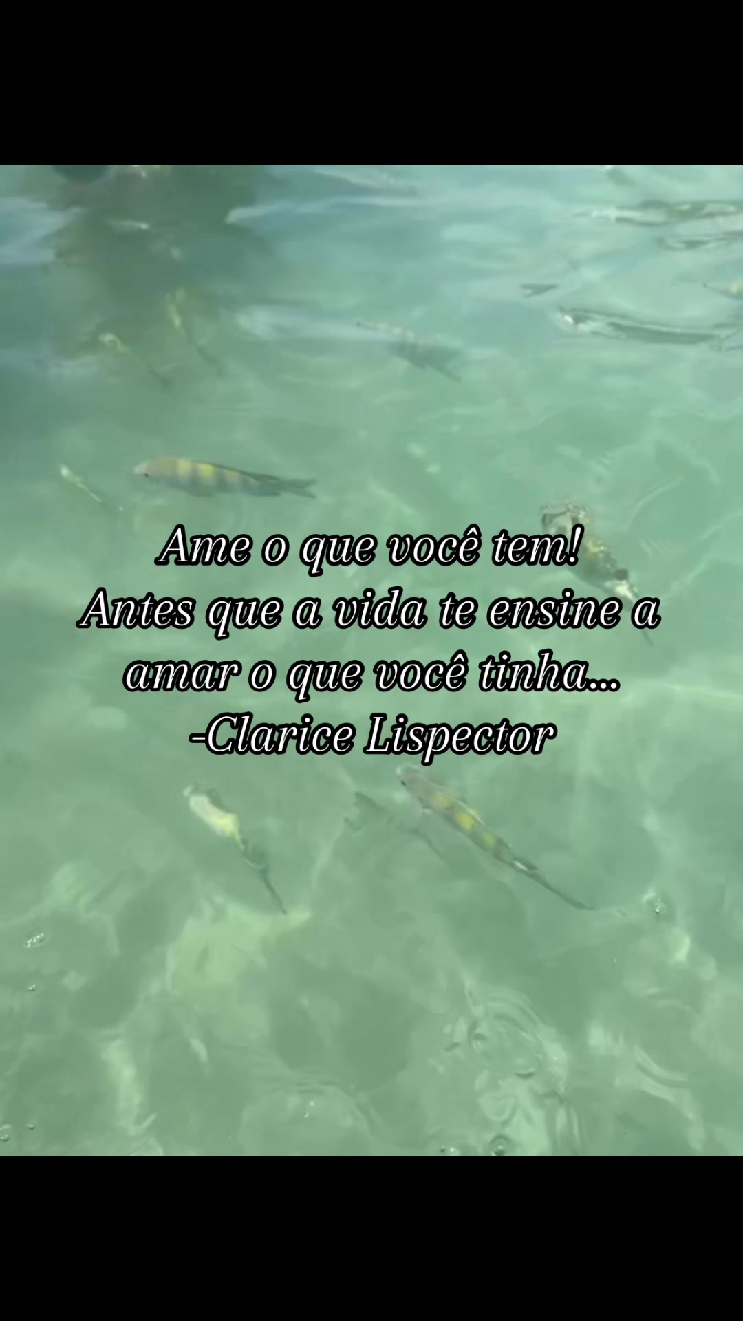 @Rafaela Vitória