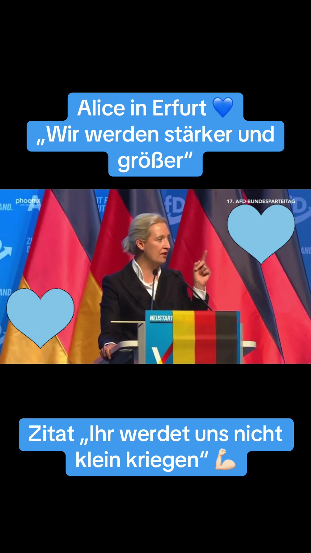 @Sven Hämisch AfD