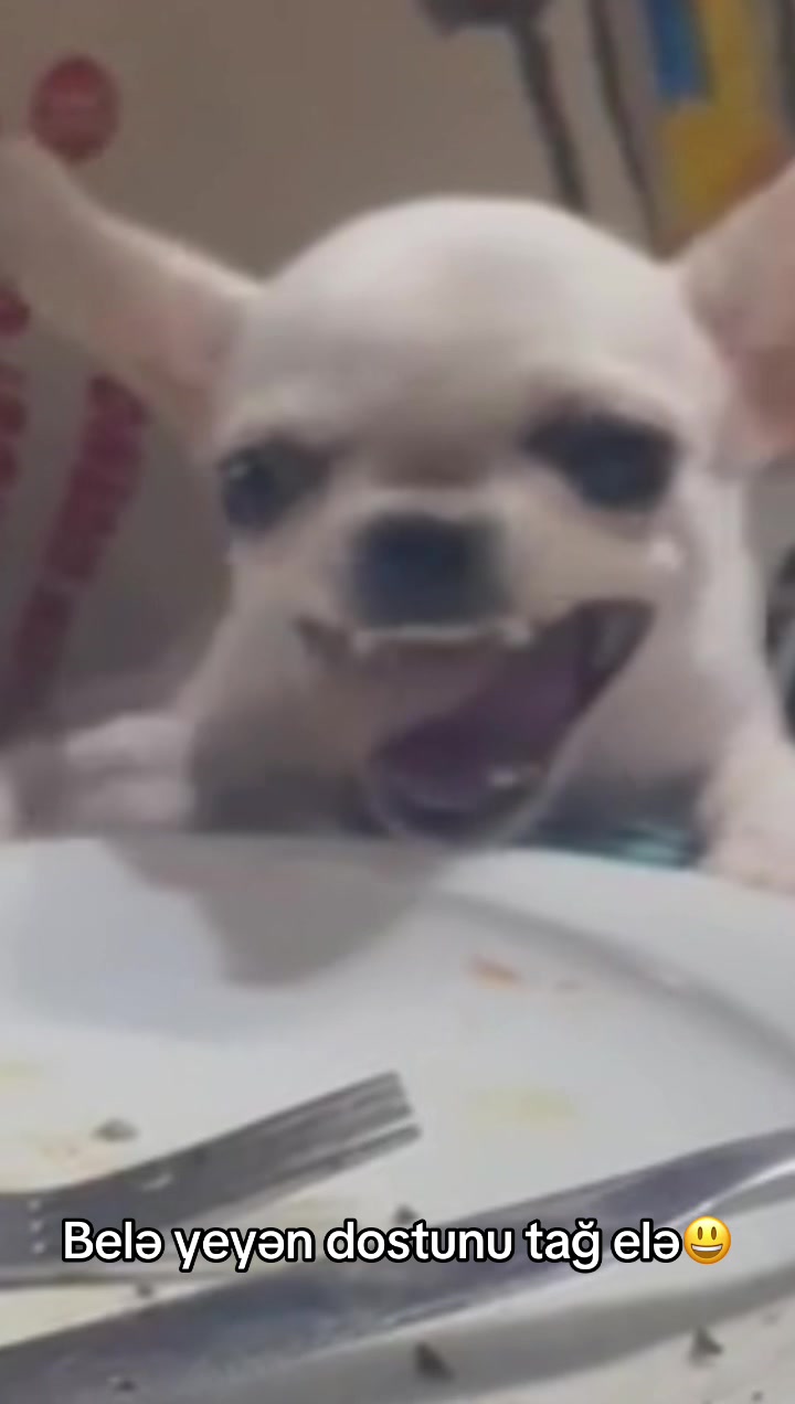 @Qafarlı