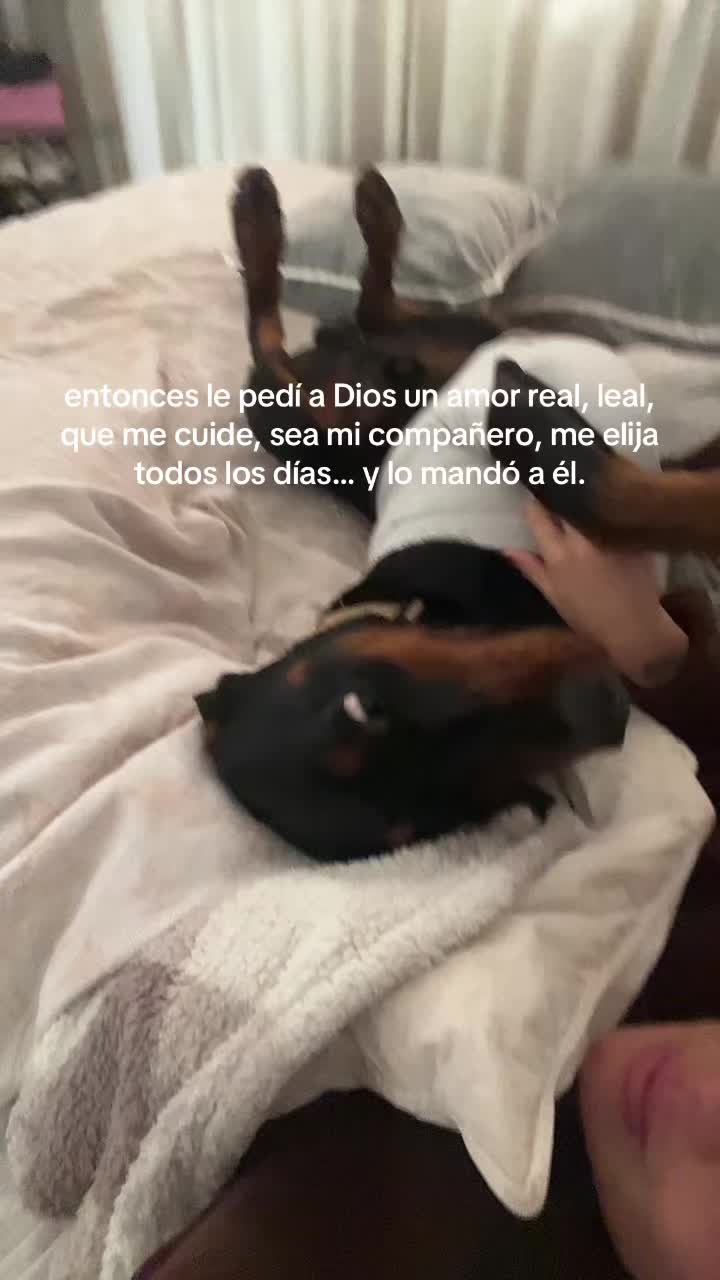 @valebbravo