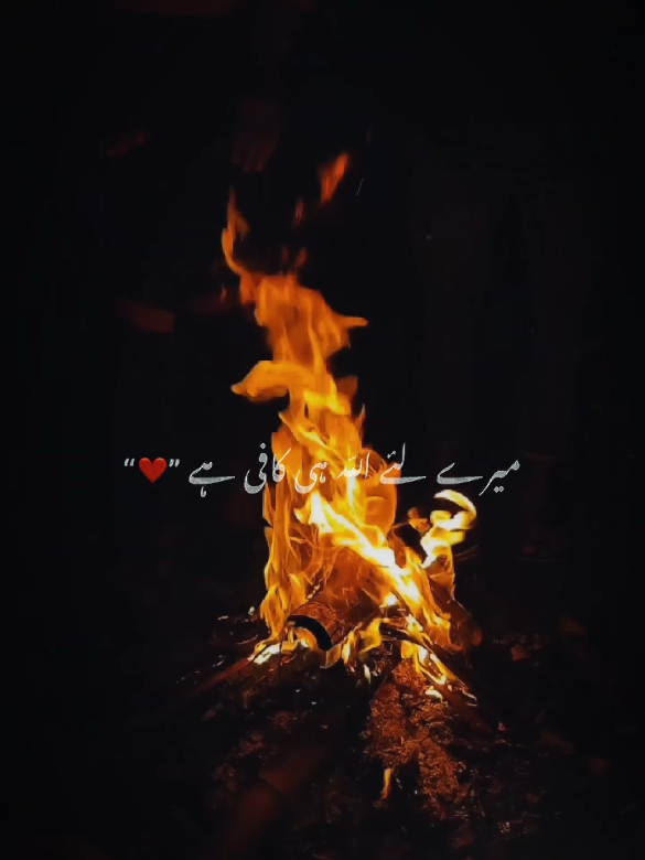 @𝐀𝐦𝐣𝐚𝐝 𝐒𝐚𝐡𝐚𝐫𝐚𝐧 A❣️S