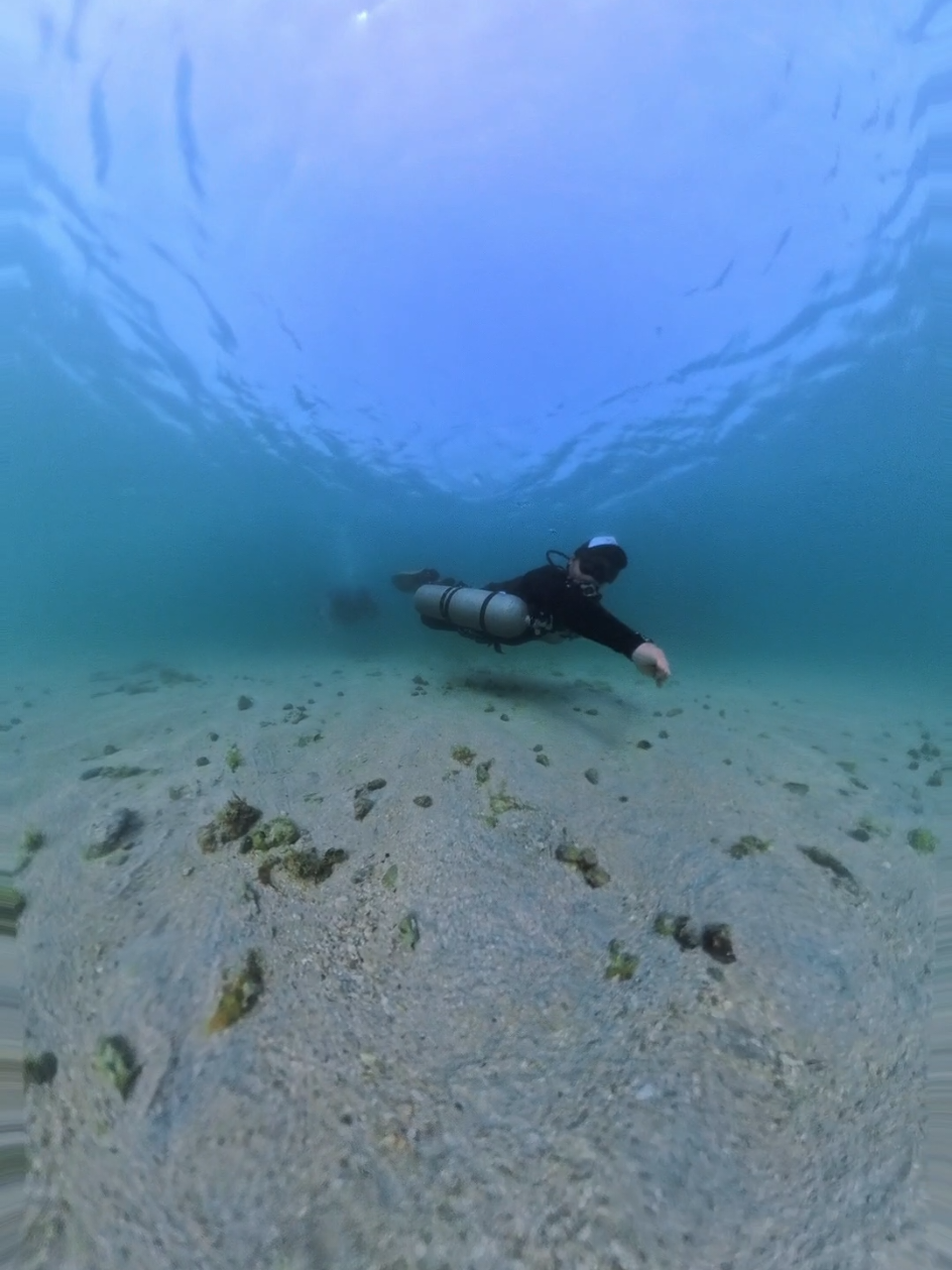 @🇵🇭Seantric Diving🇦🇪