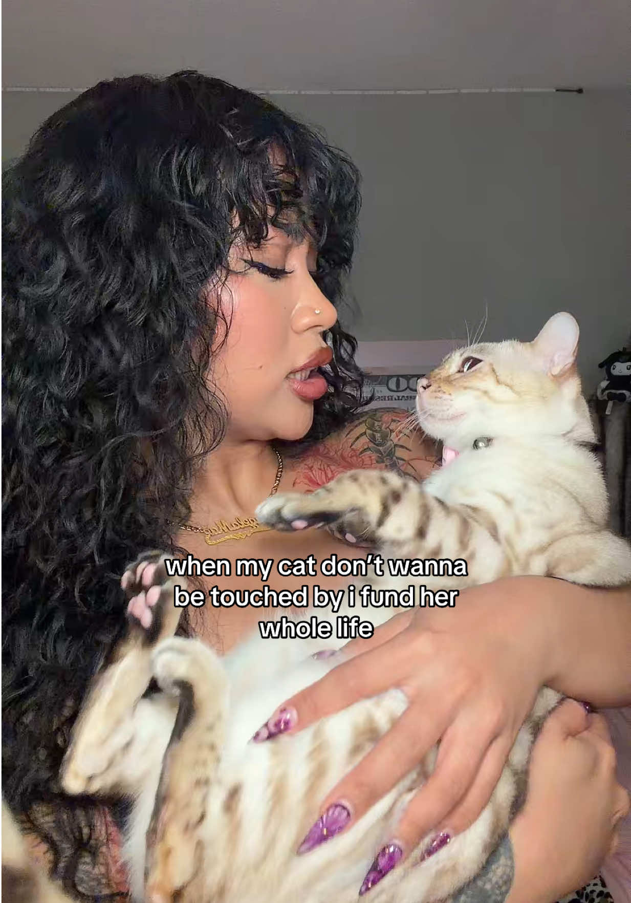 @Mirajane The Bengal🐾