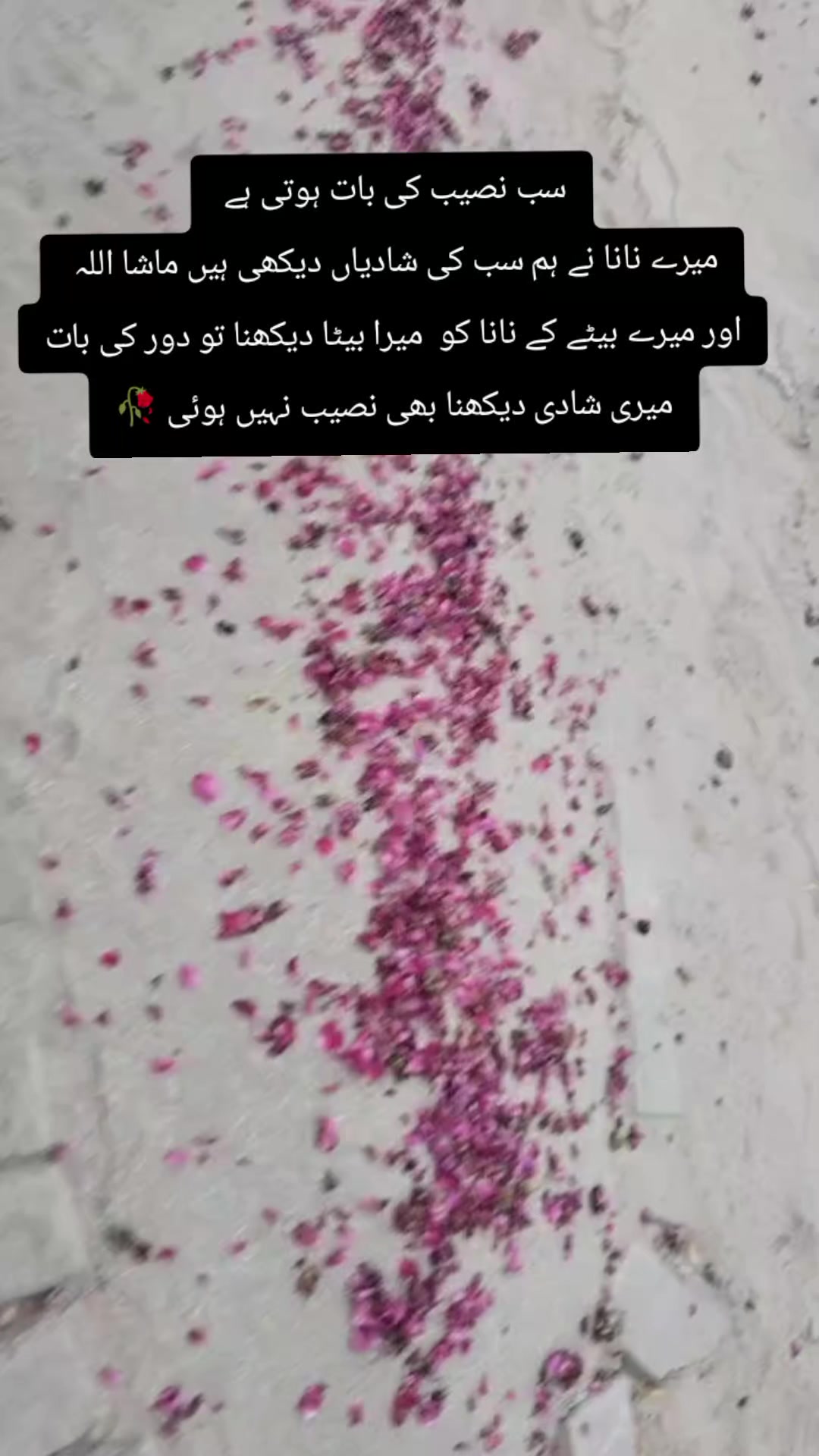 @Arisha Shahid ✨🦋💞