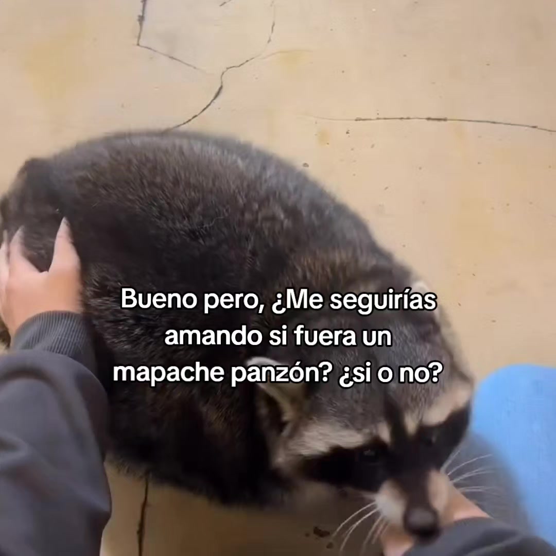@goodvibessxd