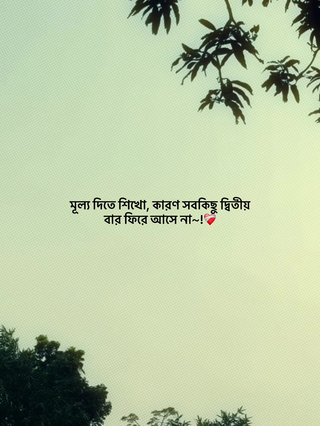 @𝗔𝗸𝗮𝘀𝗵 𝗕𝗵𝗮𝗶𝘆𝗮'♡