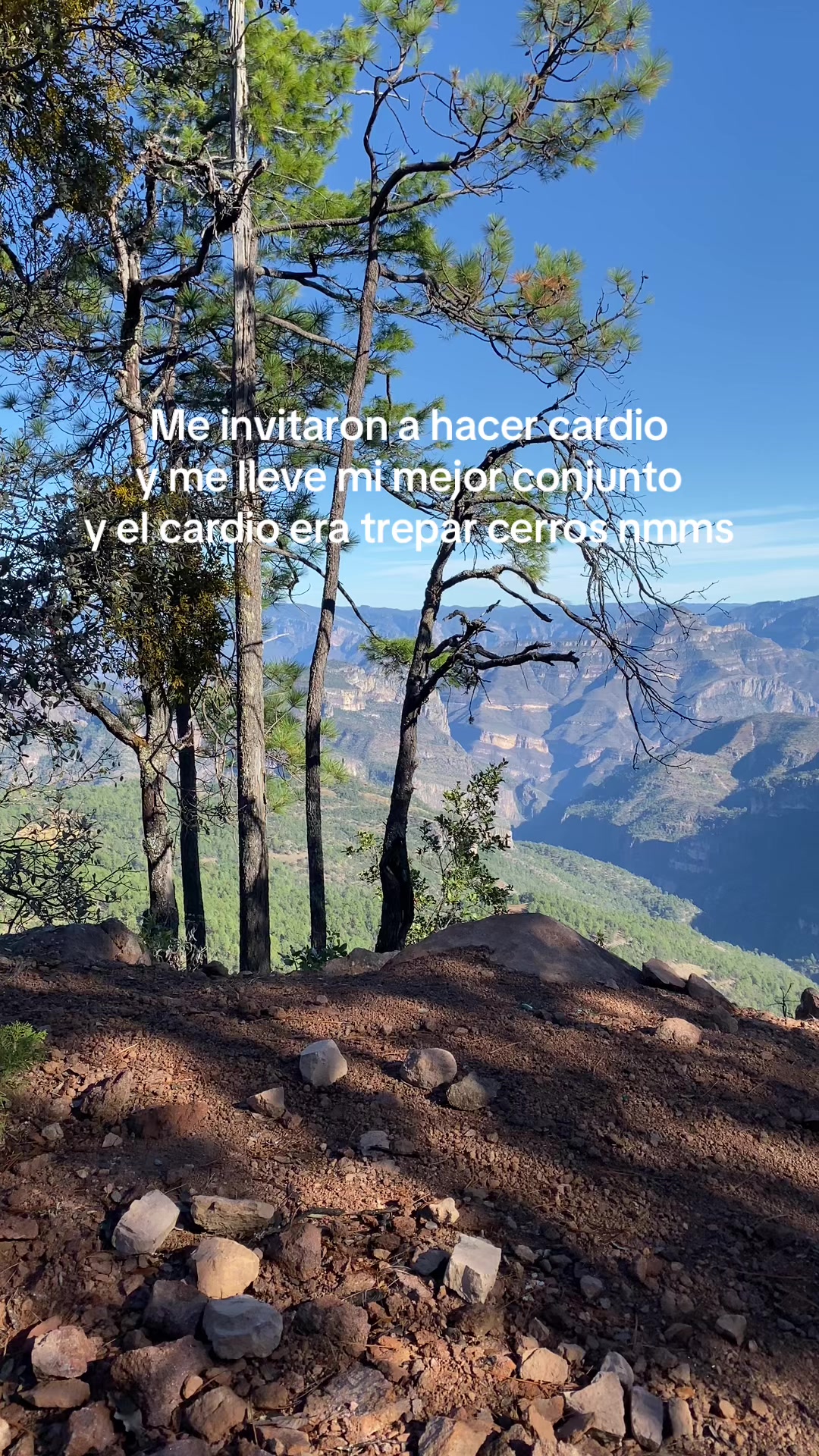 @Elizabeth hdz