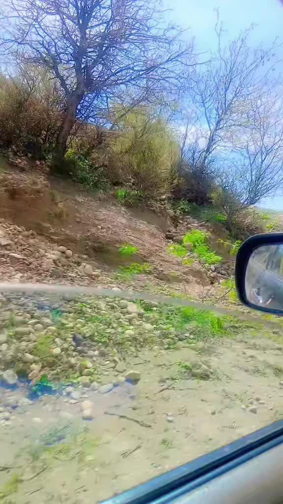 @RAJABALI2640
