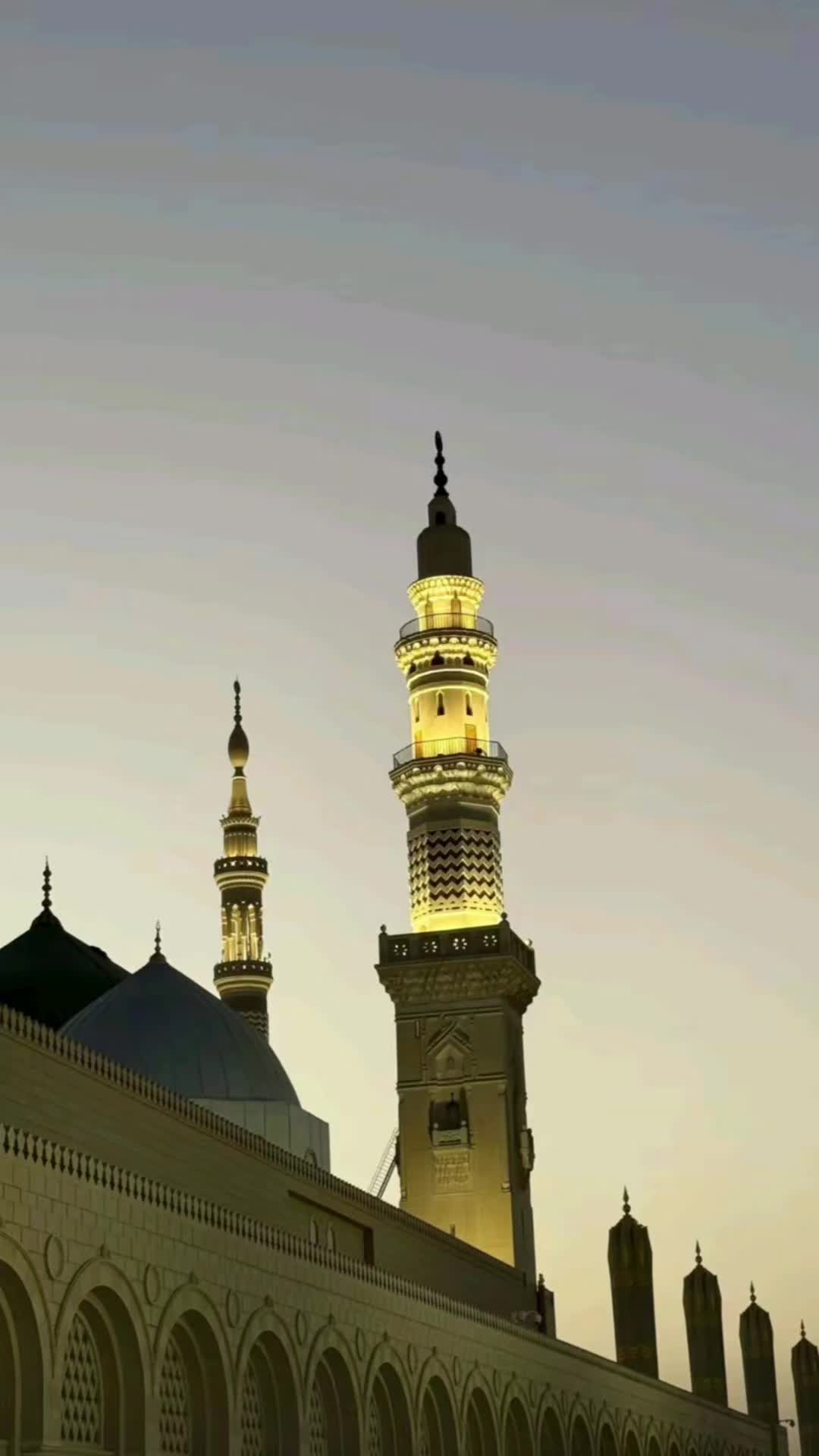 @shama jawed