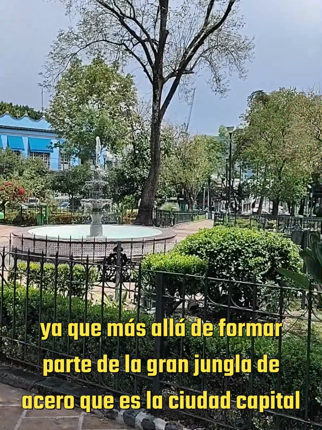@Rom&aacute;n Terrazas