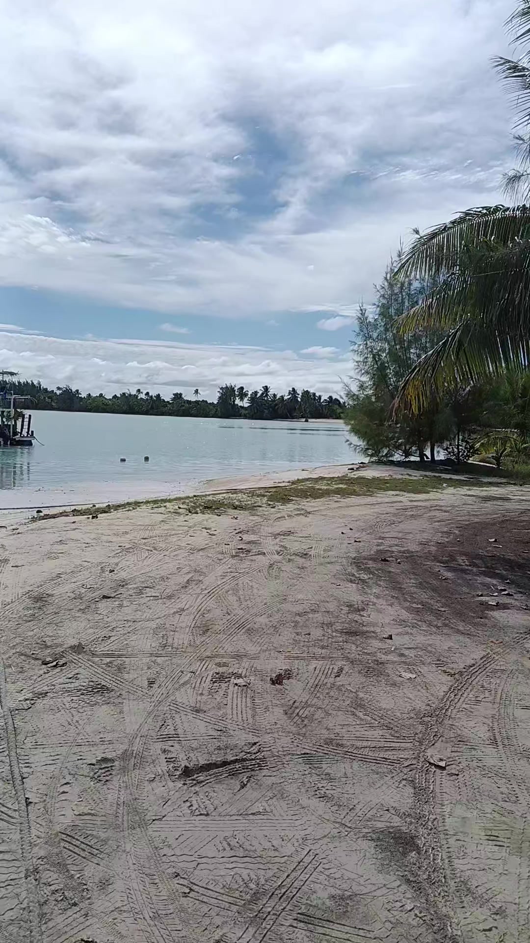 @davidmetuarau