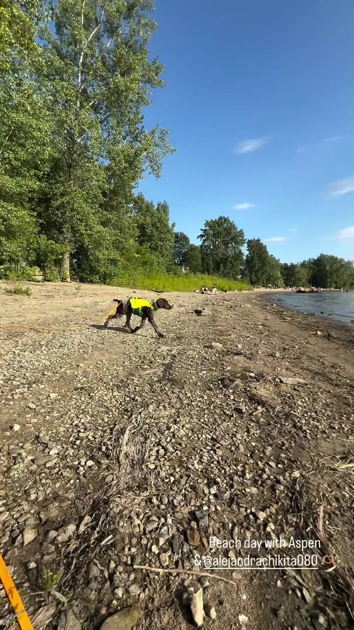 @L’athlète🏃🏻♀️🐶💪🏻😍