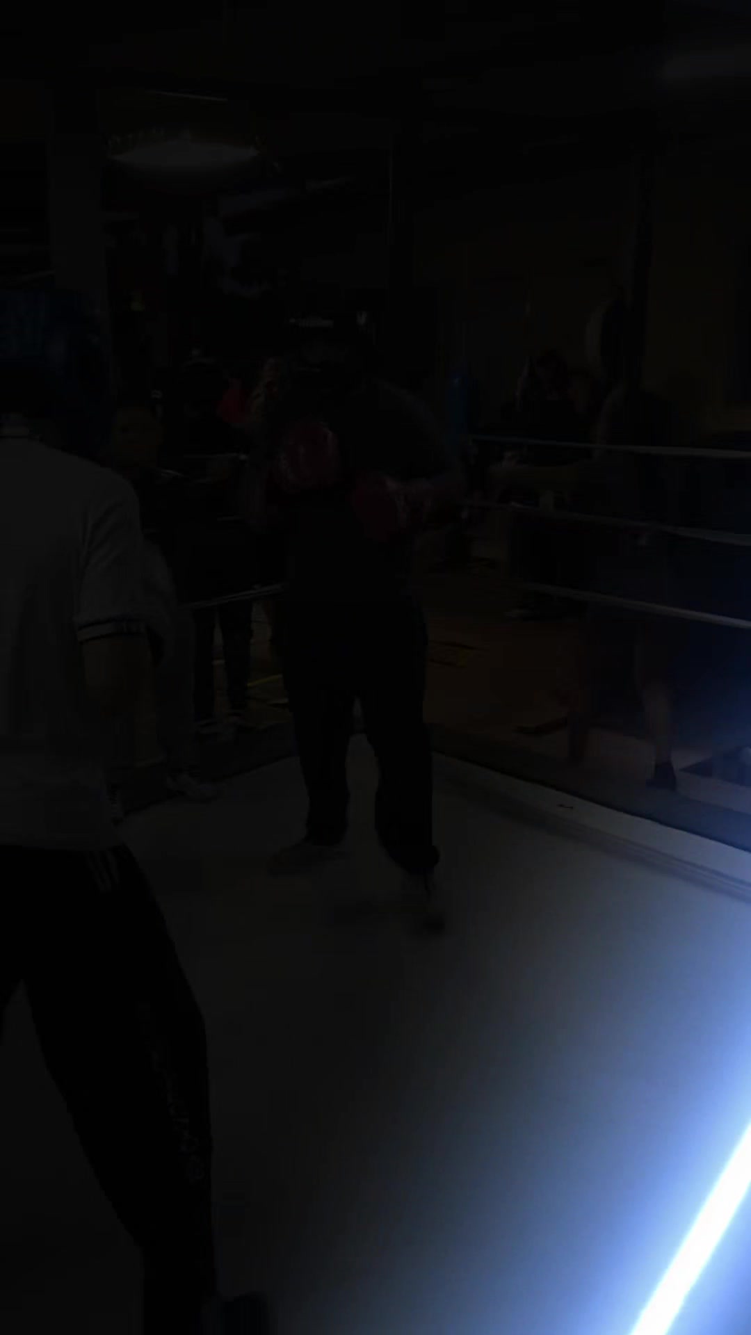 @palas boxing