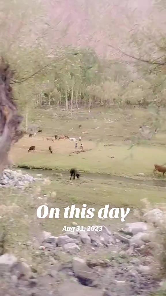 @Shabbi Maan