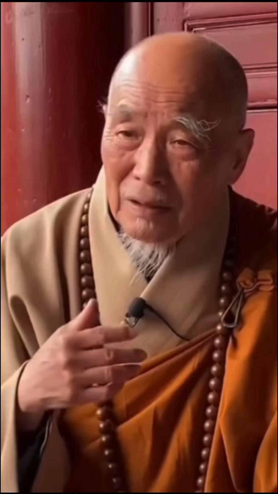 @陳皮