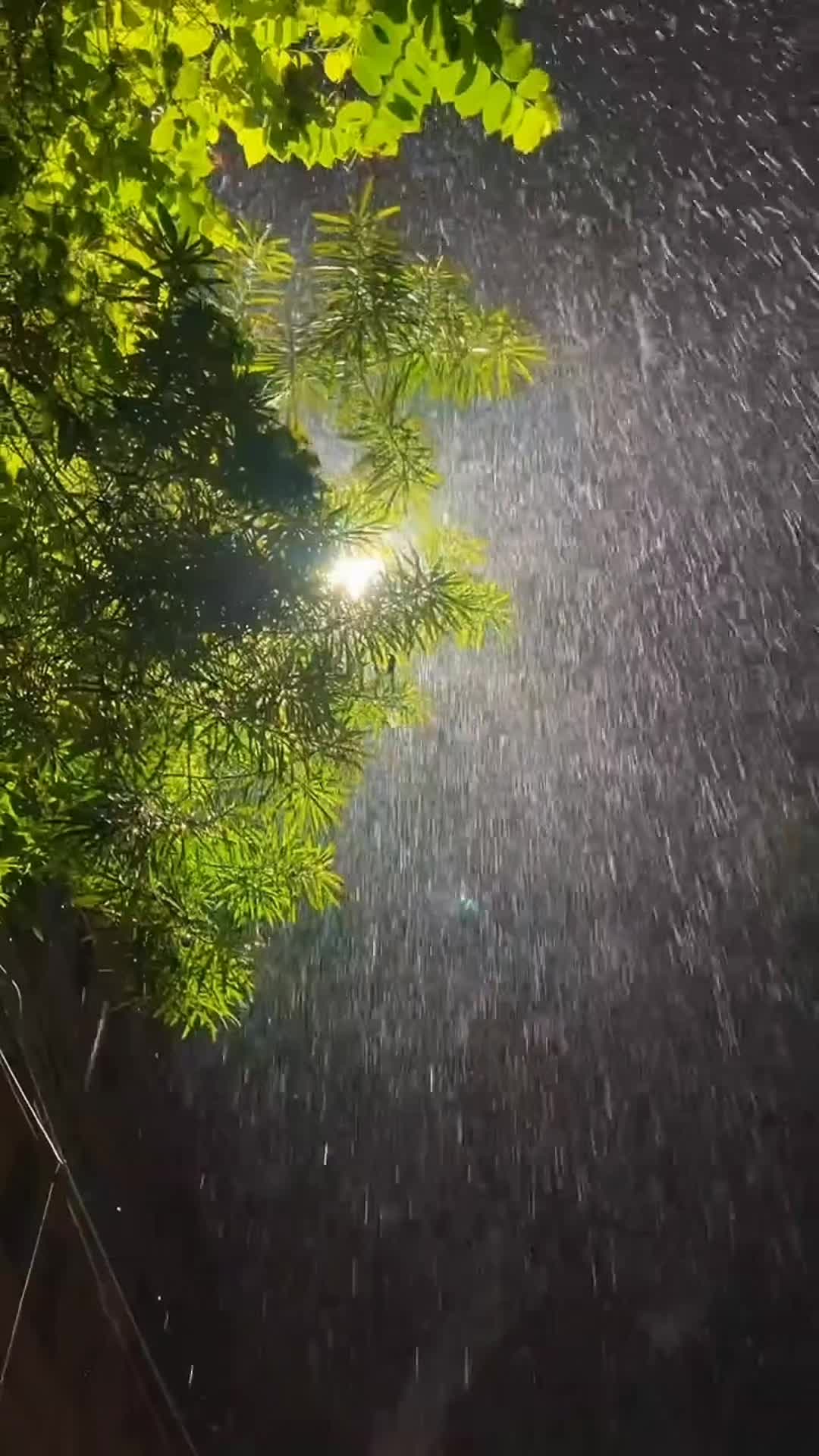 @فردوس حمزه