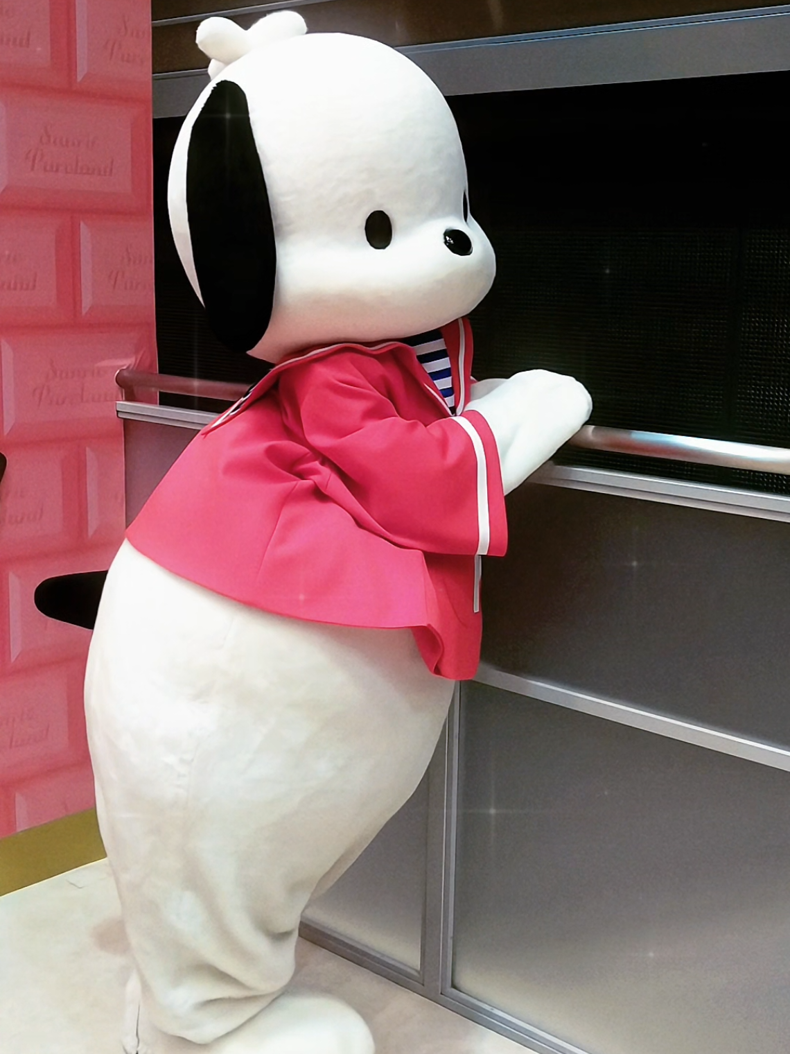 @あにゃのすけ