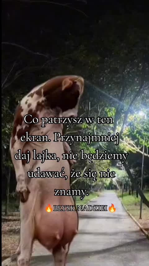 @🔥BŁYSK NADZIEI🔥