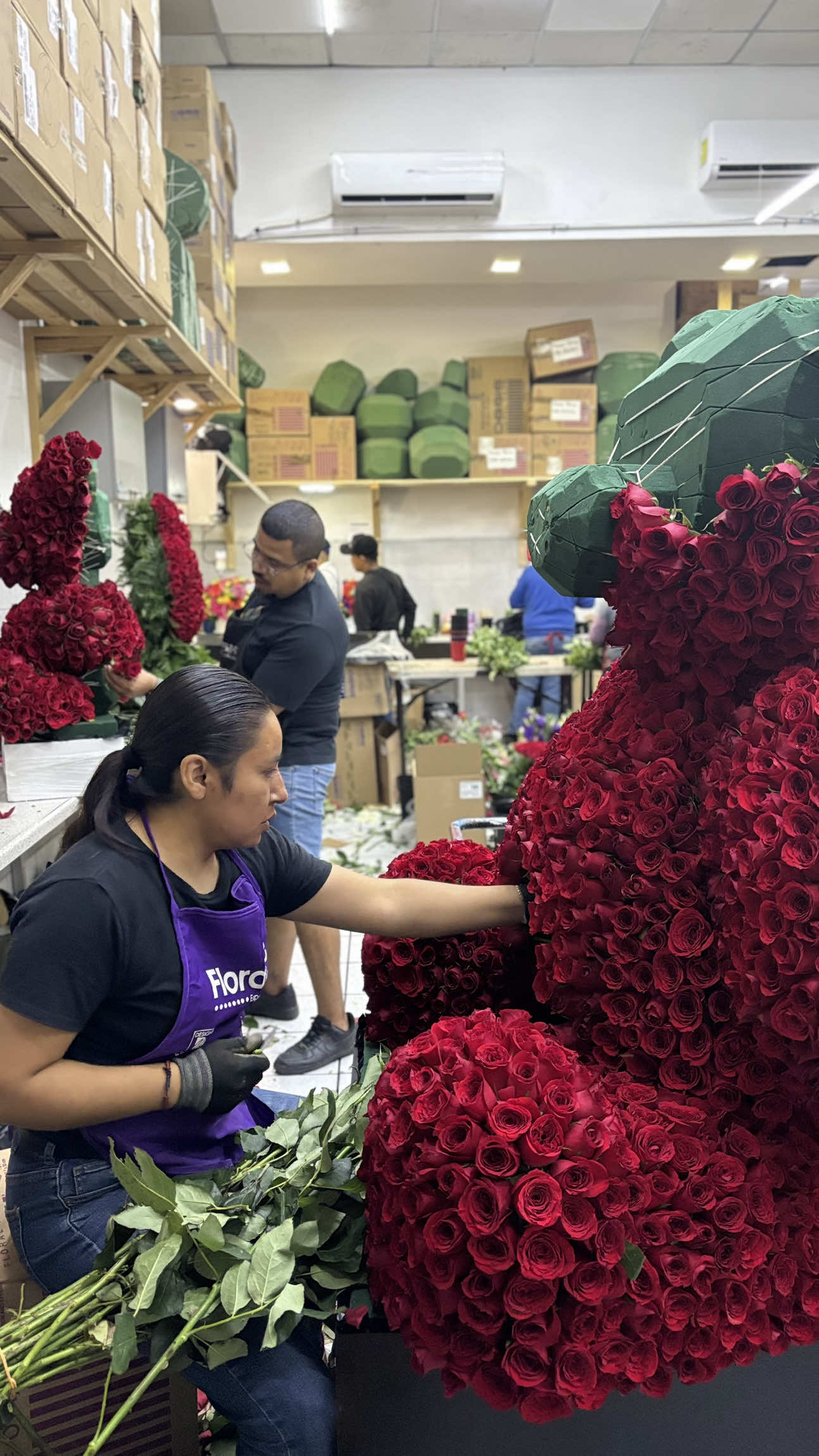 @Yaakun Flores