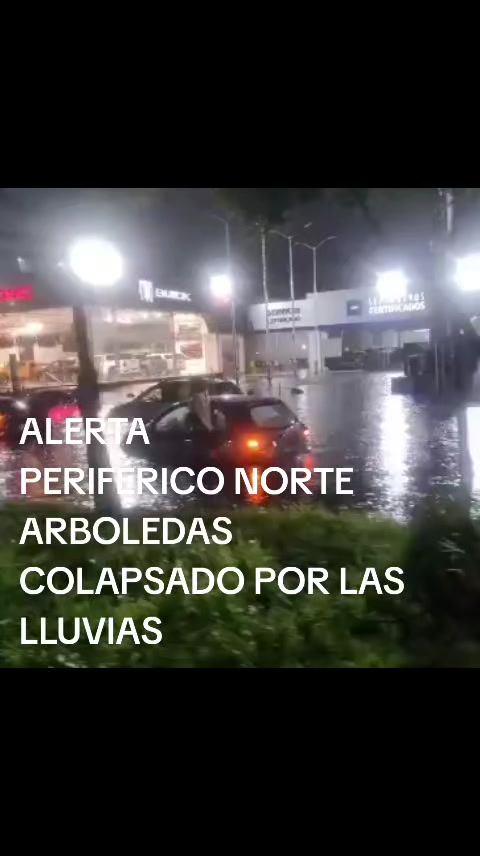 @Luis Rocha