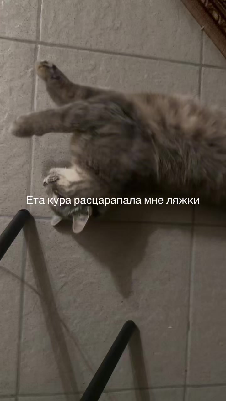 @swwr