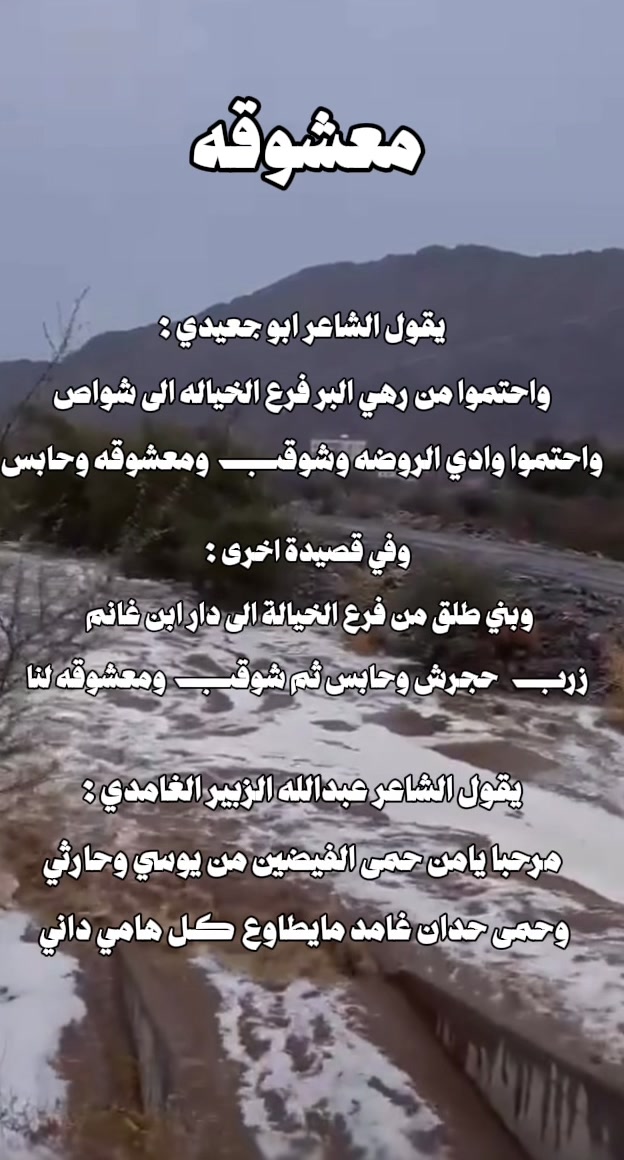 @الغامدي